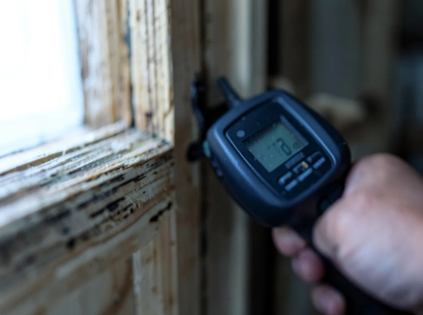 Moisture Inspection And Documentation in Mount Jewett, PA